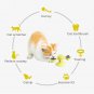 US Ship Cat Scratcher Toy Dog Behavior Training Tools Pet Kitty Toothbrush