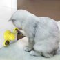 US Ship Cat Scratcher Toy Dog Behavior Training Tools Pet Kitty Toothbrush
