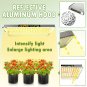 Mars Hydro TSW 2000W LED Grow Light Sunlike Full Spectrum for Indoor Veg Flower