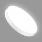 Remote Control Dimmable LED Panel Light Ultra-thin Cold Light 15.5 Inch LED