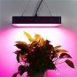 3000W LED Grow Light, SMD3030 LED Plant Growing Lamp Full Spectrum with Daisy