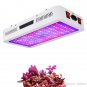 Double Chips LED Grow Light Full Spectrum 1500W 2000W Grow Lamp with Rope