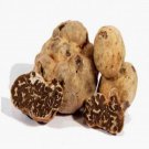 Fresh white truffles Borchii Extra quality 200 grams Tuscan white truffle