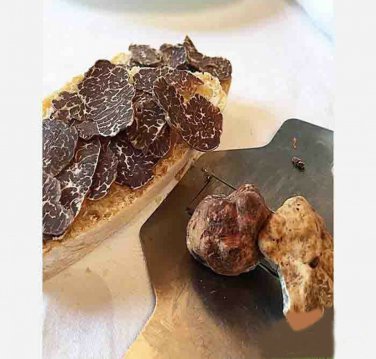 Fresh white truffles Borchii Extra quality 500 grams Tuscan white truffle