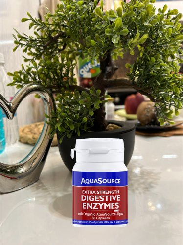 AquaSource Digestive Enzymes - 60 Caps Vegan Bio