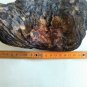 Natural piece of pine tree (029)