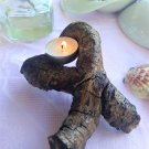 Natural tree root piece (028)