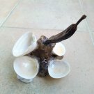 Handmade composition with natural sea sponge, 6 Seashells Spisula Solida and 1 carob (025)