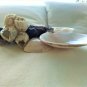 Handmade composition of poplar wood from the sea and 8 Seashells (024)