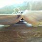 Handmade composition of poplar wood from the sea and 8 Seashells (024)