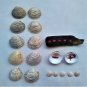 Memory game of 10, hand-painted shells, Venus Verrucosa and Parvicardium Scriptum (018)