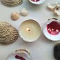 Memory game of 10, hand-painted shells, Venus Verrucosa and Parvicardium Scriptum (018)