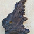 Portrait natural walnut tree bark (003) Portrait natural walnut tree bark (003)