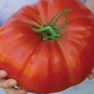 120 Mortgage Lifter Tomato Seeds - Large - Heirloom - Organic - Non Gmo - Fresh