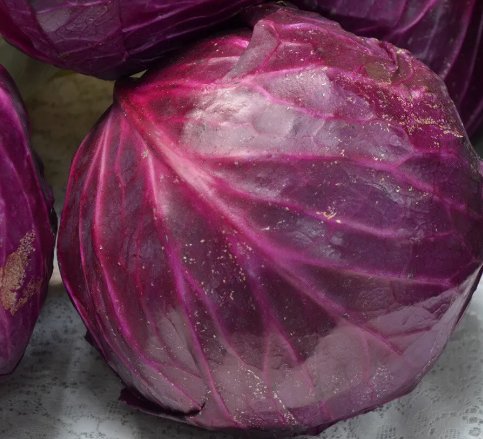 250 Red Acre Cabbage Seeds, Coleslaw, Non-Gmo, Variety Sizes