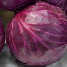 250 Red Acre Cabbage Seeds, Coleslaw, Non-Gmo, Variety Sizes
