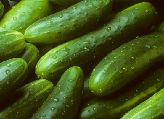30 Garden Sweet Cucumber Seeds, Burpless, Organic, Non-Gmo
