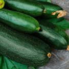 25 Dark Green Zucchini Summer Squash Seeds, Non-Gmo, Variety Sizes