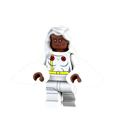 Learning Hemdar Storm Woman Batman Scolchi DIY PG1526 Semut Toys Minifigure Collection