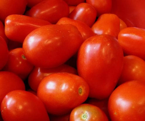 Roma Italian Tomato Seeds Heirloom NonGmo Variety Sizes   Buy Seeds Online