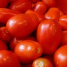 Roma Italian Tomato Seeds Heirloom NonGmo Variety Sizes   Buy Seeds Online