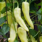 30 Sweet Banana Pepper Seeds Heirloom  NonGmo  Seed Store 1017 Buy Seeds Online