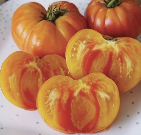 30 Pineapple Tomato Seeds NonGmo Heirloom BiColored Beefsteak Buy Seeds Online