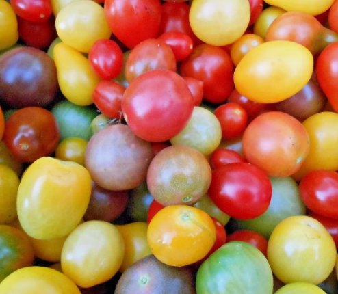 30 Rainbow Cherry Tomato Seeds NonGmo Organic Colorful Buy Seeds Online