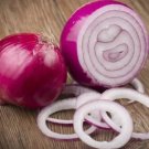 200 Red Creole Onion Seeds NonGmo  Seed Store 1070  Buy Seeds Online
