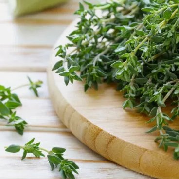300 Thyme Seeds Heirloom  NonGmo  Herb Seeds Seed Store 1160  Buy Seeds Online