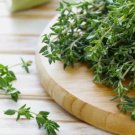 300 Thyme Seeds Heirloom  NonGmo  Herb Seeds Seed Store 1160  Buy Seeds Online