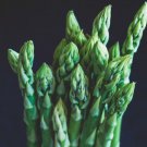 50  Mary Washington Asparagus Seeds Heirloom Vegetable Garden  Non Gmo Buy Seeds Online