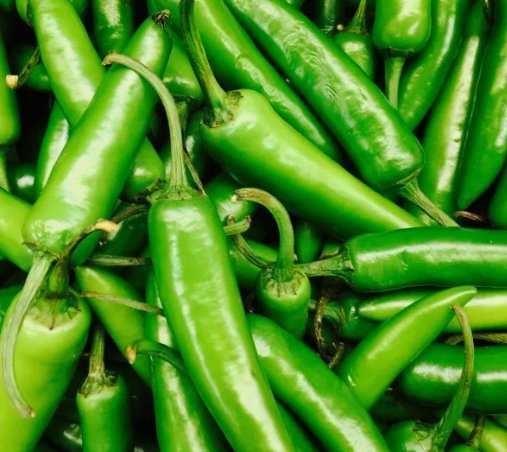 30 Serrano Pepper Seeds Heirloom  Non Gmo  Seed Store 1010 Buy Seeds Online