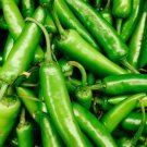30 Serrano Pepper Seeds Heirloom  Non Gmo  Seed Store 1010 Buy Seeds Online