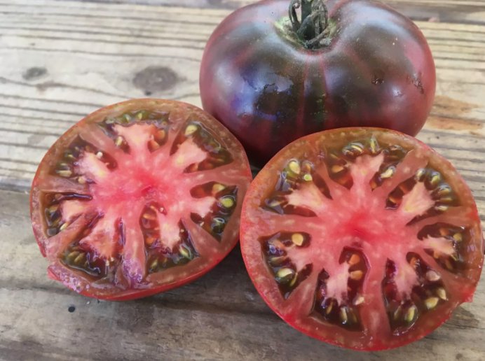 30 Cherokee Purple Tomato Seeds Heirloomseedguy 2025 NonGmo Buy Seeds Online