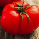 50 Beefsteak Tomato Seeds Heirloom Tomato Seeds Fresh NonGmo Vegetable Seeds Buy Seeds Online