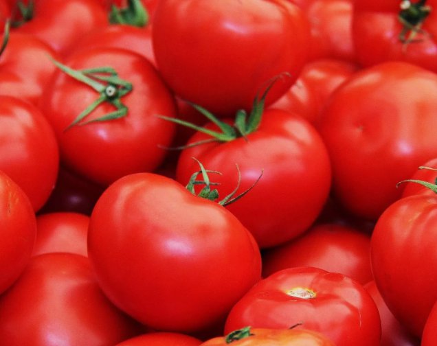 50 Floridade Tomato Seeds, NonGmo, Heirloom, Determinate, Hot/Humid Buy Seeds Online