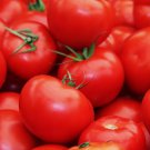 50 Floridade Tomato Seeds, NonGmo, Heirloom, Determinate, Hot/Humid Buy Seeds Online