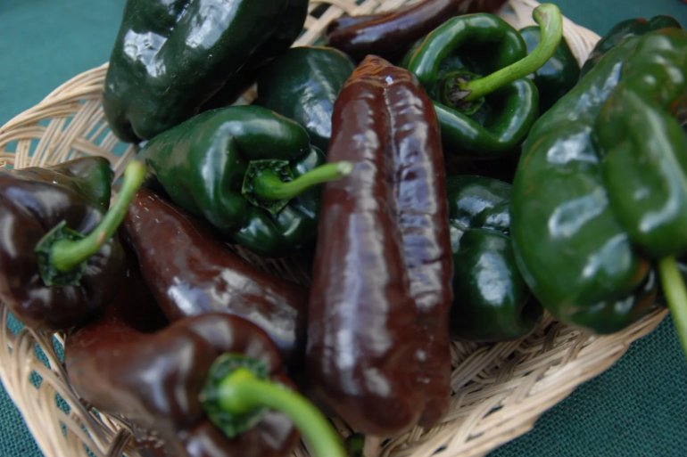 30 Ancho Poblano Chile Pepper Seeds, Chili, NonGmo, Variety Packets Sold Buy Seeds Online