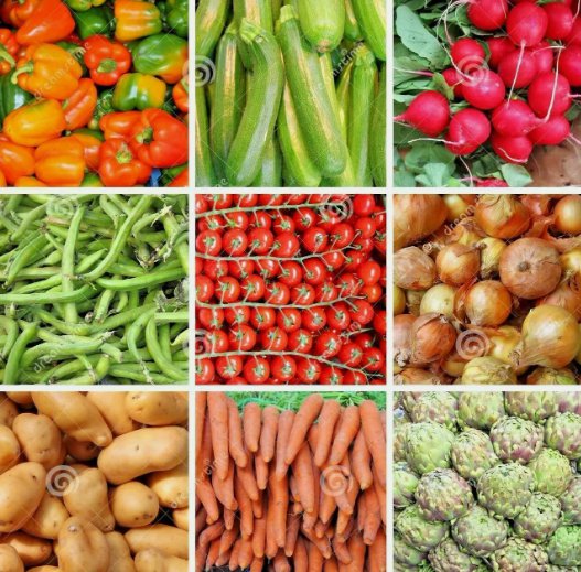 150 Seeds Heirloom Vegetable  6 Variety Garden Set Emergency Survival NonGmo Buy Seeds Online
