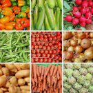 150 Seeds Heirloom Vegetable  6 Variety Garden Set Emergency Survival NonGmo Buy Seeds Online