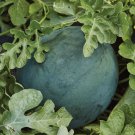 15 Sugar Baby Watermelon Seeds, NonGmo, Icebox Watermelon, Compact Seeds Online