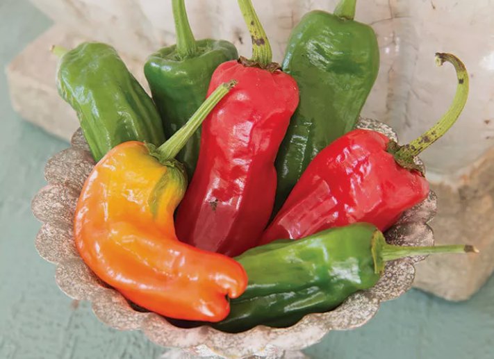 50 Cubanelle Sweet Pepper Seeds NonGmo Variety Sizes Buy Seeds Online