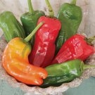 50 Cubanelle Sweet Pepper Seeds NonGmo Variety Sizes Buy Seeds Online