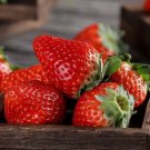 100 Red Strawberry Seeds Big Flesh Fruit Perennial Container Garden Buy Seeds Online