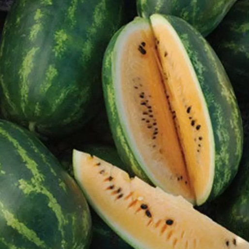 10 Tendersweet Orange Watermelon Seeds Very Sweet NonGmo Heirloom  Buy Seeds Online