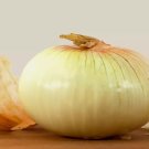 250 Treated Vidalia Sweet Onion Seeds NonGmo Heirloom Buy Seeds Online
