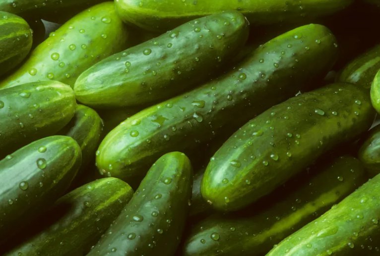 30 Garden Sweet Cucumber Seeds, Burpless, Organic, Nongmo Buy Seeds Online