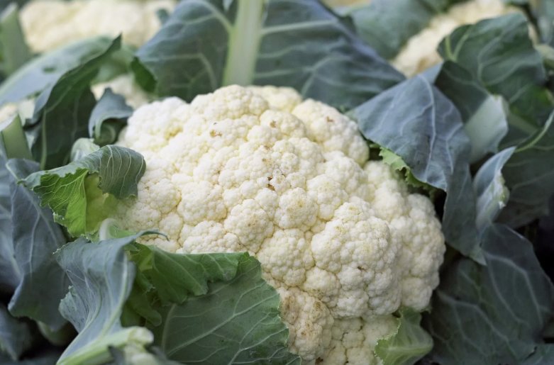 200 Cauliflower Snowball Y Improved, Cruciferous, Nongmo, Self Blanching Buy Seeds Online