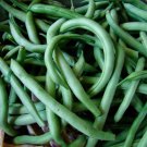 10 Blue Lake Bush 274 Green Bean Seeds, NonGmo, Heirloom Buy Seeds Online